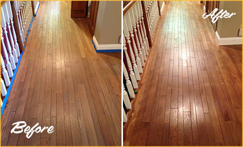 Wood cleaner and Restorer